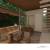 Perspectiva Estudo Preliminar 