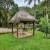 Jardim 