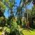 Jardim 