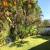 Jardim 
